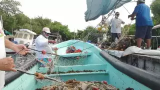 Los hombres de mar esperan aprovechar la bonanza que habrá hoy y mañana, pues el jueves llegará un nuevo frente frio a las costas de Quintana Roo