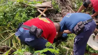 Vecinos del lugar manifestaron que el conductor de la camioneta huyo del lugar al ver lo ocurrido
