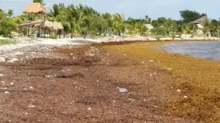 El recale se dará hasta junio, según pronósticos de monitoreo
