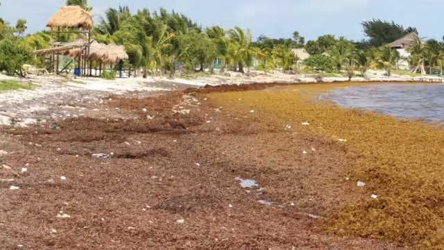 El recale se dará hasta junio, según pronósticos de monitoreo
