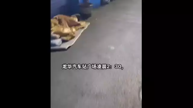 Decenas de jóvenes en China se quedan sin hogar, por confinamiento obligatorio