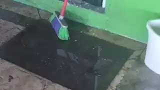 Rebosamiento de aguas negras afecta a locatarios del mercado de Ciudad del Carmen