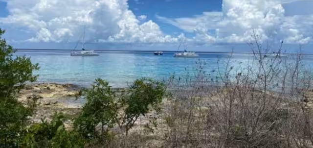 Adicional a ese muelle, también considera un edificio que funcione como terminal de cruceros Foto: Gabriel Aguilar