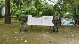 La Sedena aseguró una aeronave con 340 kilos de posible cocaína en Chiapas