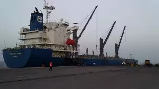 El navío, cuenta con una eslora de 189 metros y 30 metros de manga, por lo que hasta el momento, representa el barco de mayor dimensión que ha traído consigo dicho material