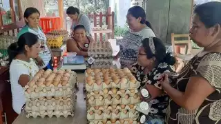 Aumenta la cría de gallinas 'ponedoras' en José María Morelos