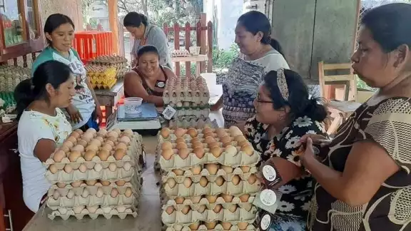 Parte del producto se comercializa en los negocios de la cabecera municipal y lo demás se envía a restaurantes de Bacalar Parte del producto se comercializa en los negocios de la cabecera municipal y lo demás se envía a restaurantes de Bacalar