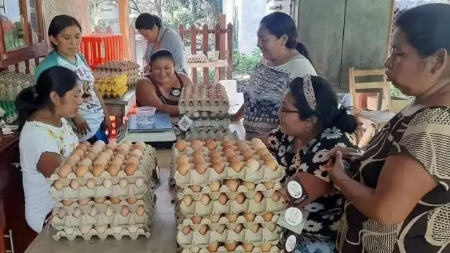 Parte del producto se comercializa en los negocios de la cabecera municipal y lo demás se envía a restaurantes de Bacalar