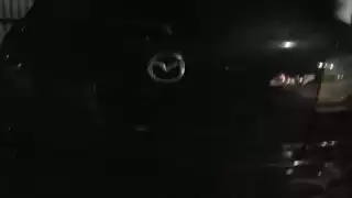 Autoridades recuperan camioneta con reporte de robo en Región 201 en Cancún