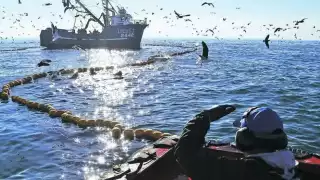 La Canainpesca expuso que ante la veda no se ha dicho qué fecha podrán regresar a la mar