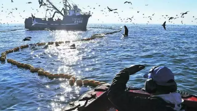 La Canainpesca expuso que ante la veda no se ha dicho qué fecha podrán regresar a la mar