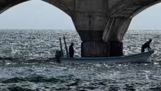 Manchas de diésel avanzan frente a Progreso; reportan daños y alertan riesgos a la salud y al turismo