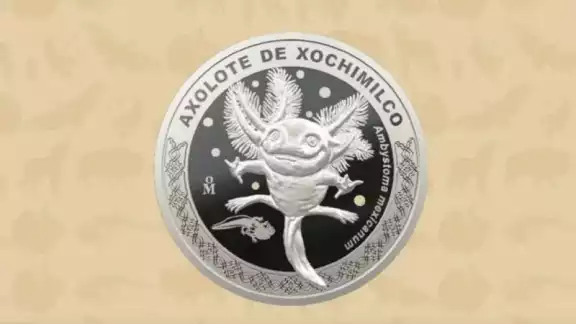 Las monedas son de colección y de una edición limitada Las monedas son de colección y de una edición limitada