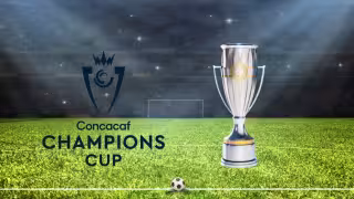 Continúa la actividad esta semana