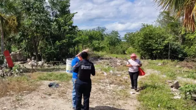 La búsqueda de Ricardo Silva se mantuvo hasta hoy en la zona donde se le vio por última vez en Puerto Aventuras