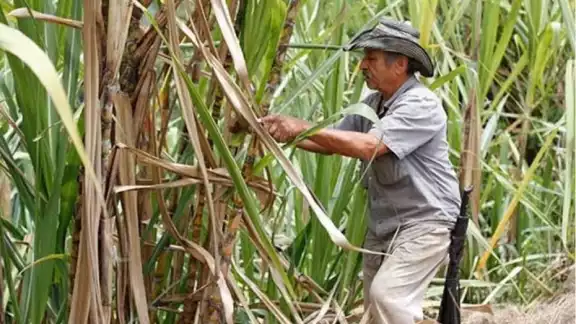 De acuerdo con los pronósticos, las condiciones climáticas adversas continuarán.