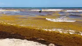 Asimismo, se buscan métodos de reciclaje.