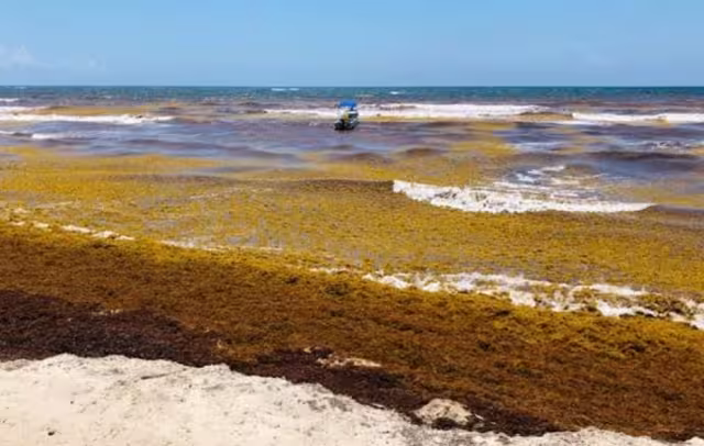 Asimismo, se buscan métodos de reciclaje.