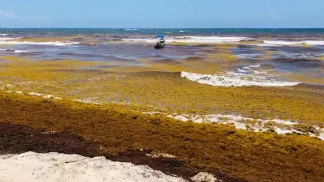 Asimismo, se buscan métodos de reciclaje.
