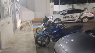 Reportan robo en gasolinera de Mega Sur en la carretera Campeche-Champotón