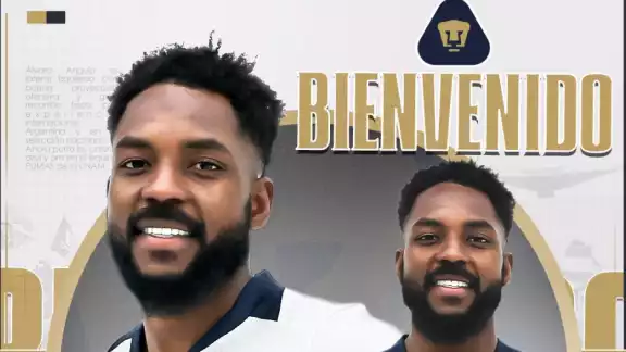 La pantera se hizo puma La pantera se hizo puma