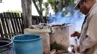 Dengue repunta en la Península: crecen casos graves en, Campeche, Yucatán y Quintana Roo