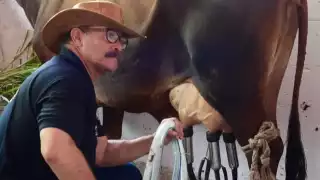  Planta Pasteurizadora Liconsa generará más de 200 empleos a campechanos    