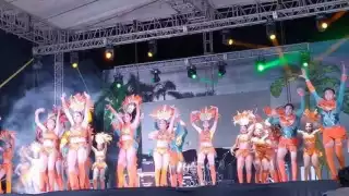 Tienen como prioridad otros proyectos culturales, que no involucren tanto gasto