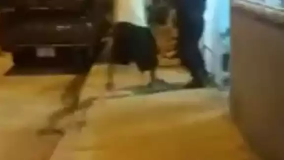 En un video de más de dos minutos se observa al policía forcejear con el vecino En un video de más de dos minutos se observa al policía forcejear con el vecino