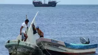 Pescadores buscan la ampliación de la temporada de captura de mero y pulpo en Yucatán