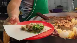 El perrito disfrutó de sus tacos para variar su dieta y dejar a un lado las croquetas
