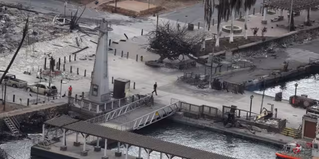 Confirma canciller dos mexicanos fallecidos durante incendios en Maui, Hawái
