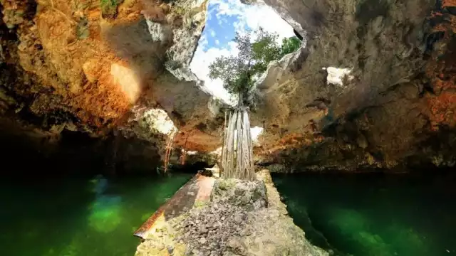 Un cenote es un lugar en el que puedes nadar, hacer snorkel, buceo o sentarte a contemplar su belleza y todas las bondades que ofrecen