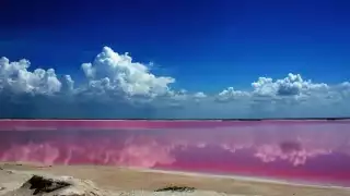 No solo Las Coloradas: Conoce estos tres lugares con aguas rosas en Yucatán
