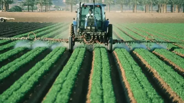 Uno de los principales daños colaterales es la aniquilación de abejas