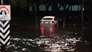 La mujer fue sacada de su auto por un hombre que arriesgó su vida