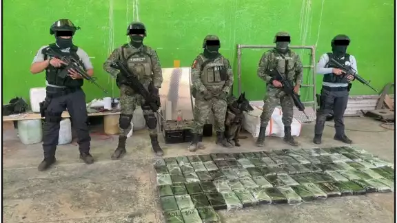 Ejército mexicano aseguran 700 kilogramos de cocaína Ejército mexicano aseguran 700 kilogramos de cocaína