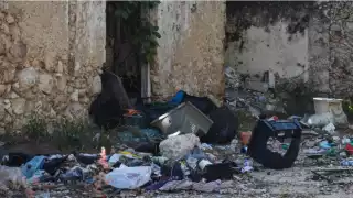 Ya van 10 decesos relacionados con esta patología