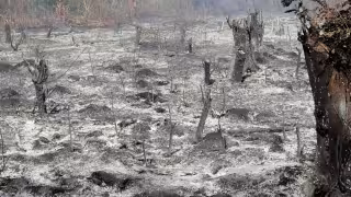 Incendio deja sin internet a habitantes de Valladolid