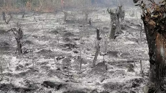 Desde ayer, trabajadores de la compañía intentan arreglar la falla que ocasionó el incendio que se prolongó por varias horas