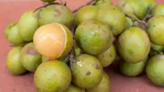 La huaya puede medir de 2 a 4 centímetros de diámetro