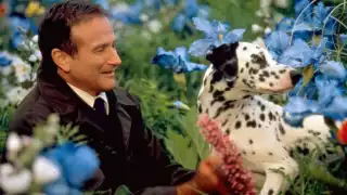 Te recomendamos las mejores películas de Robin Williams en Netflix