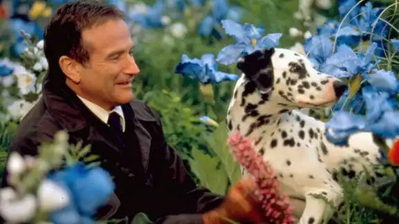 Te recomendamos las mejores películas de Robin Williams en Netflix