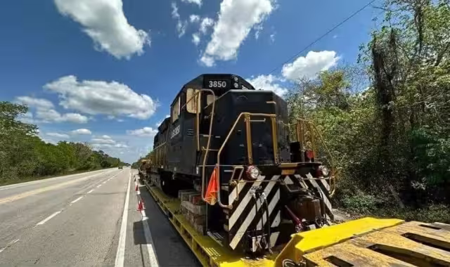 ¿Cuáles serán las funciones de la locomotora?