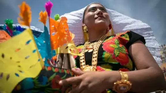 La creación de la reforma se debió a varias denuncias públicas de plagio en elementos textiles tradicionales La creación de la reforma se debió a varias denuncias públicas de plagio en elementos textiles tradicionales
