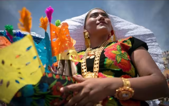 La creación de la reforma se debió a varias denuncias públicas de plagio en elementos textiles tradicionales