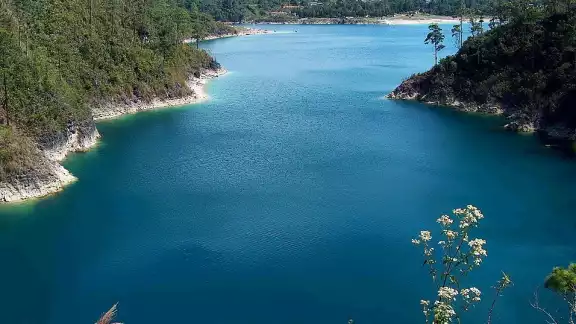 Una de las lagunas del parque