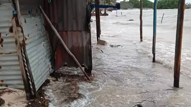 FOTOS: Gabriel E. Manzanilla