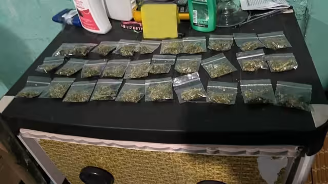 Se decomisaron en Cancún
