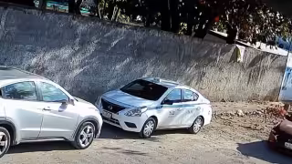 Denuncian presunto atropellamiento intencional de un perro en Cancún